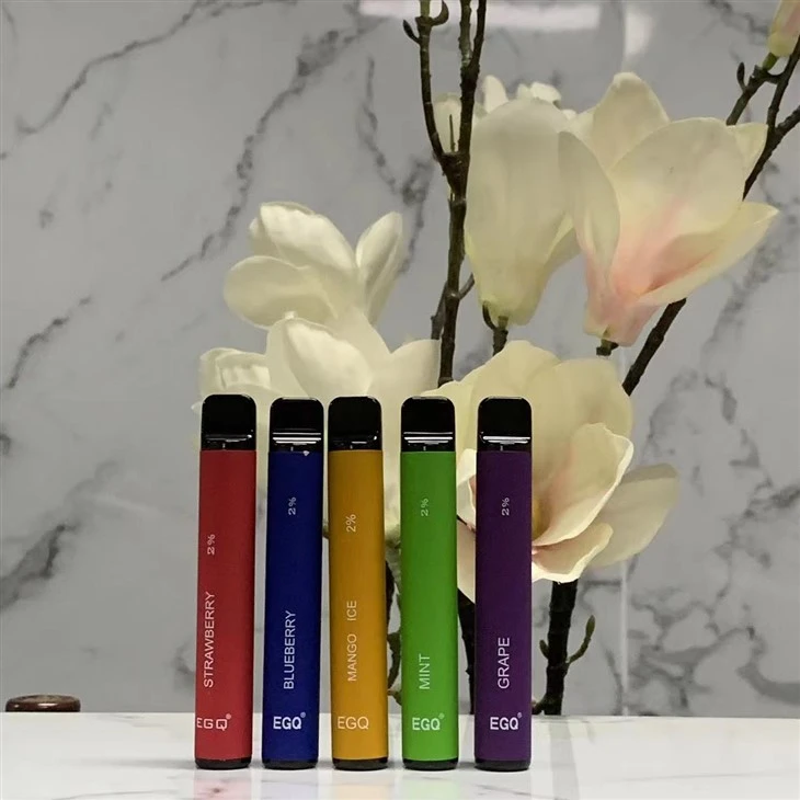 Electronic Cigarette Vape With 600 Puffs