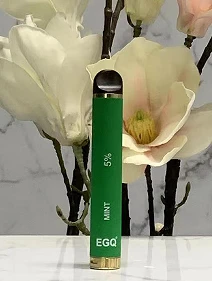 Hot Sell 800 Puffs Disposable E Cig
