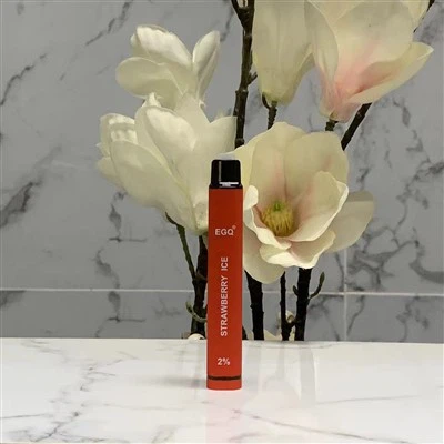 600 Puf Flaş Vaping Kalemi E Sigara