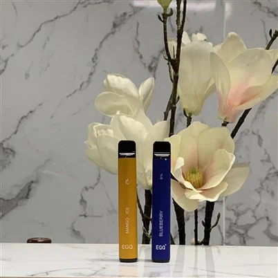 Toptancı I 600 Puflu Vape Pen