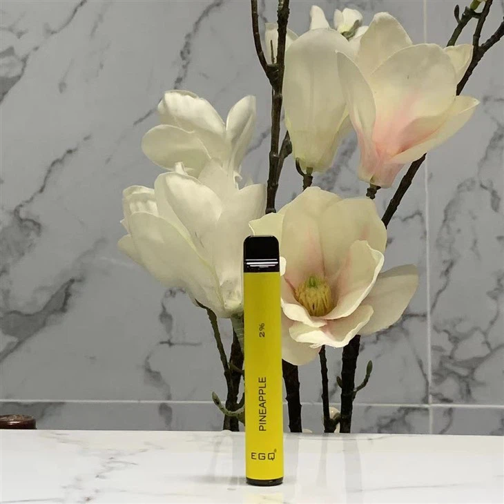 Wholesaler I Vape 600 Puffs Disposable Vape